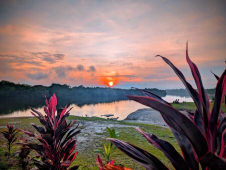 Week 18 to 25 October 2025