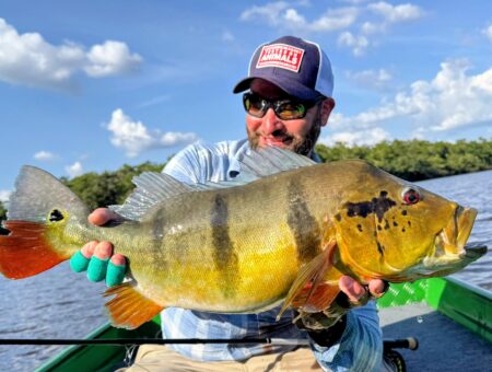 Week 25 October to 1st September 2025