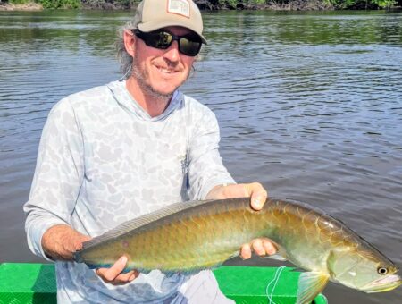 Week 8 to 15 November 2925