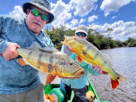 Week 15 to 22 November 2025