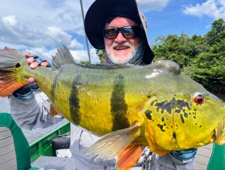 Week 22 nd to 29 November 2025