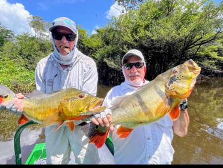 Week 2nd to 8 November 2025