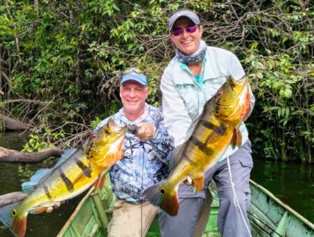 Week 29 November,to 6 December