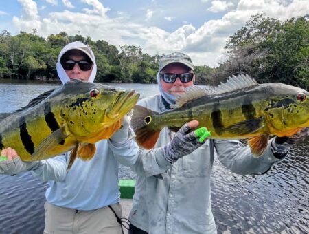 Week 13 to 20 December 2025