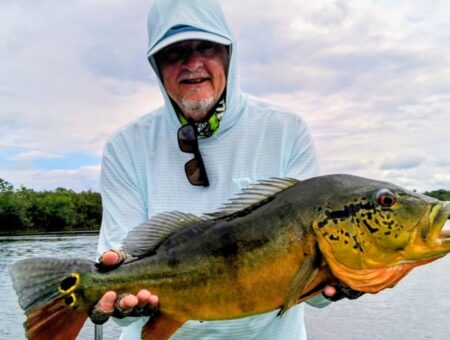 Week 10 to 17 January 2026