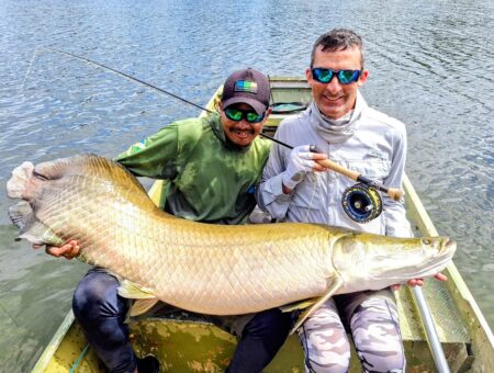 Week 17 to 24 January 2026