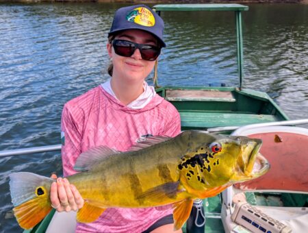 Week 3 to 10 January 2026