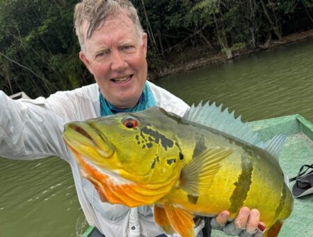 Week 31 January to 7 February 2026