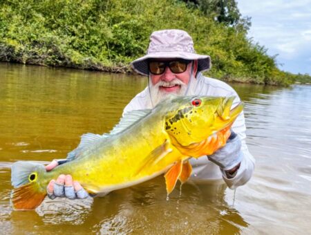 Week 14 to 21st February 2026