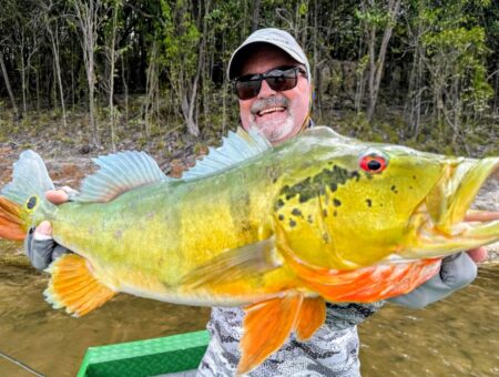 Week 21 to 28 February 2026