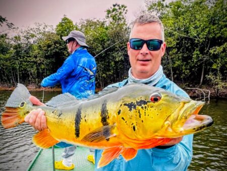 Week 14 to 21st March 2026